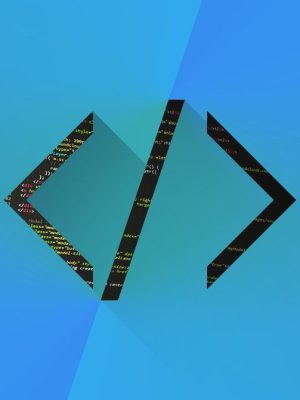 832163-part-i-inside-the-mind-of-a-web-developer-princeton-internet-marketing