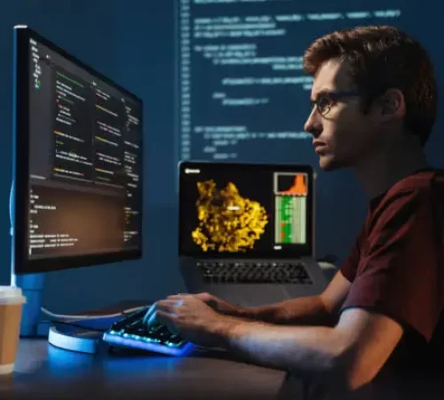 istockphoto-1449171785-612x612